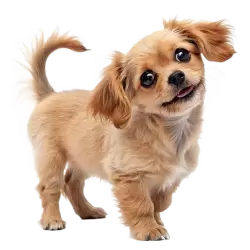 Imagen PNG para descargar